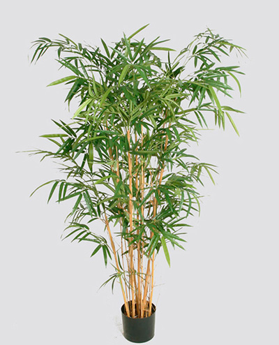 54-135 New Bamboo 135cm, 54-170 New Bamboo 170cm, 54-200 New Bamboo 200cm, 54-230 New Bamboo 230cm